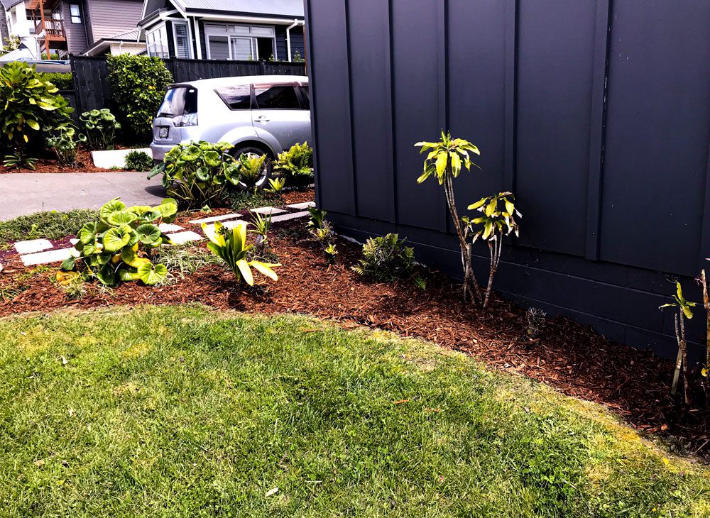 weeding services weeding services