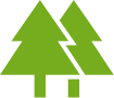 Tree And Shrub Pruning