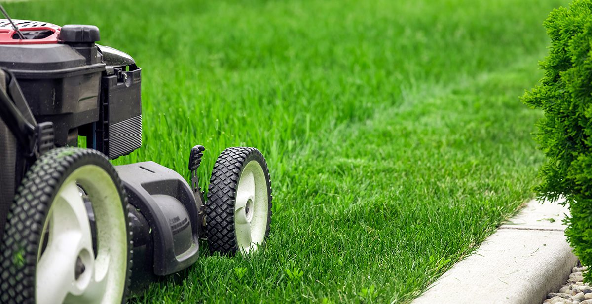Lawn mower cutting green grass in backyard, mowing lawn Lawn mower cutting green grass in backyard, mowing lawn