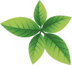 welocme-leafs welocme-leaf