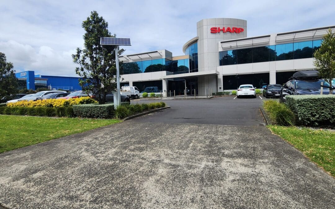 Lawn Legends: Our Epic Commercial Property Lawn Treatment Guide