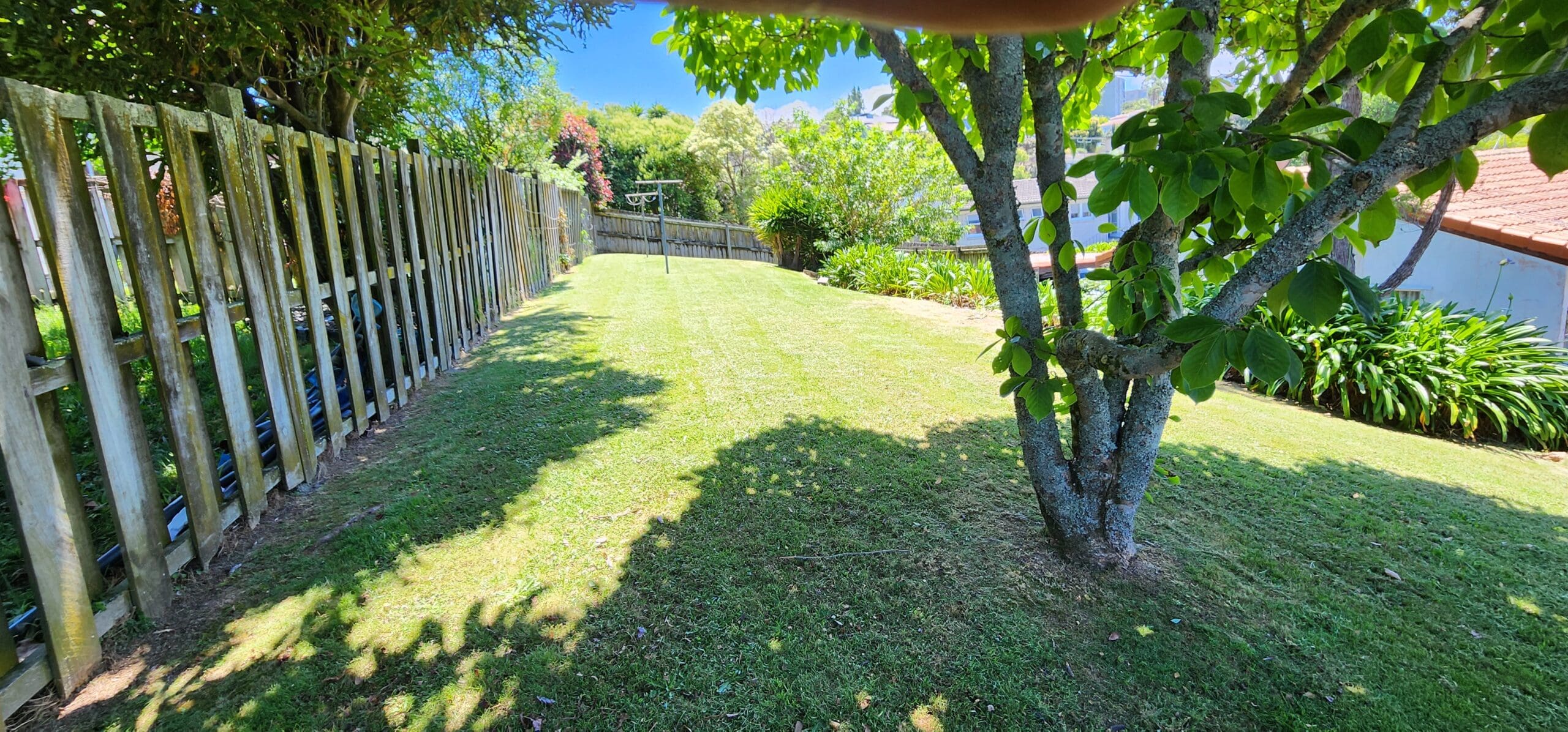 The Perfect Mow - Expert-Approved Lawn Mowing Techniques