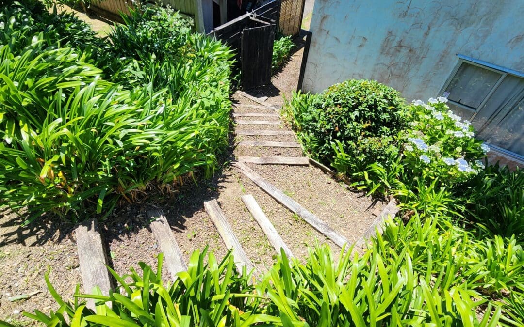 Our Garden Magic: Unveiling the Power of Professional Garden Maintenance