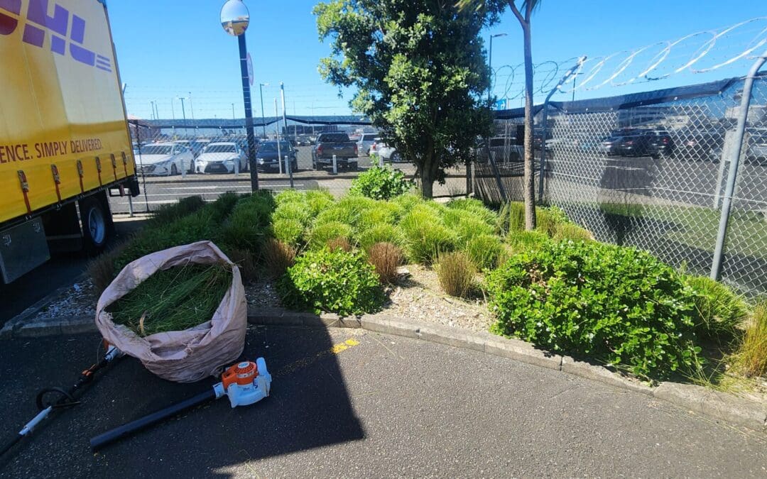 Weed Out the Competition: Our Elite Commercial Property Landscaping Services