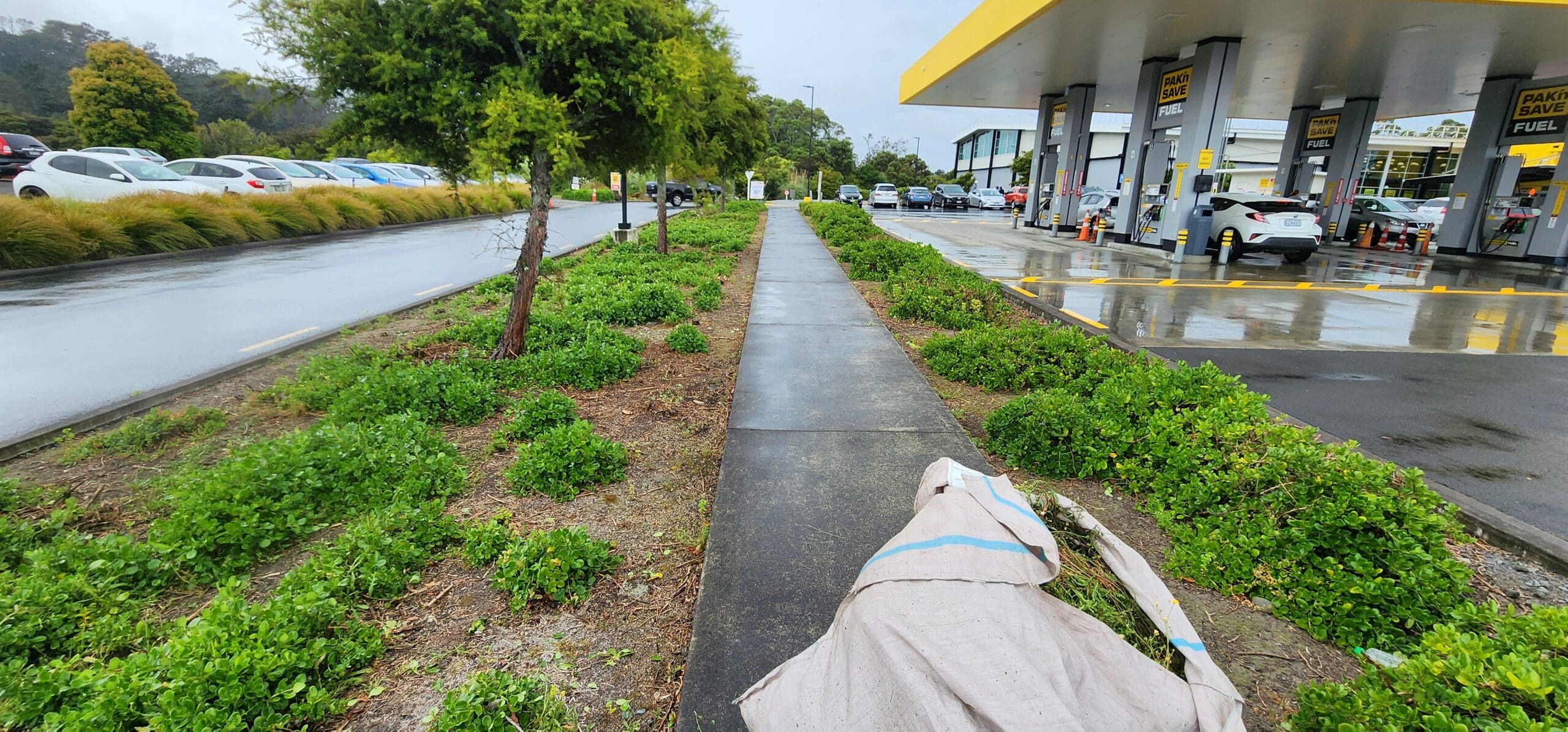 Up Your Curb Game: Best Commercial Landscape Maintenance Companies
