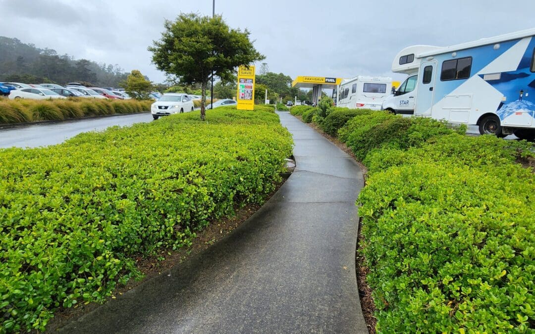 Turf Titans: Powering Up Your Commercial Lawn Care Services