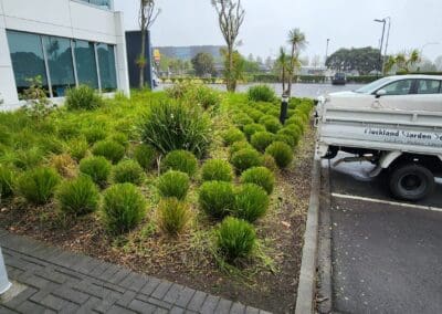 Garden Maintenance Services