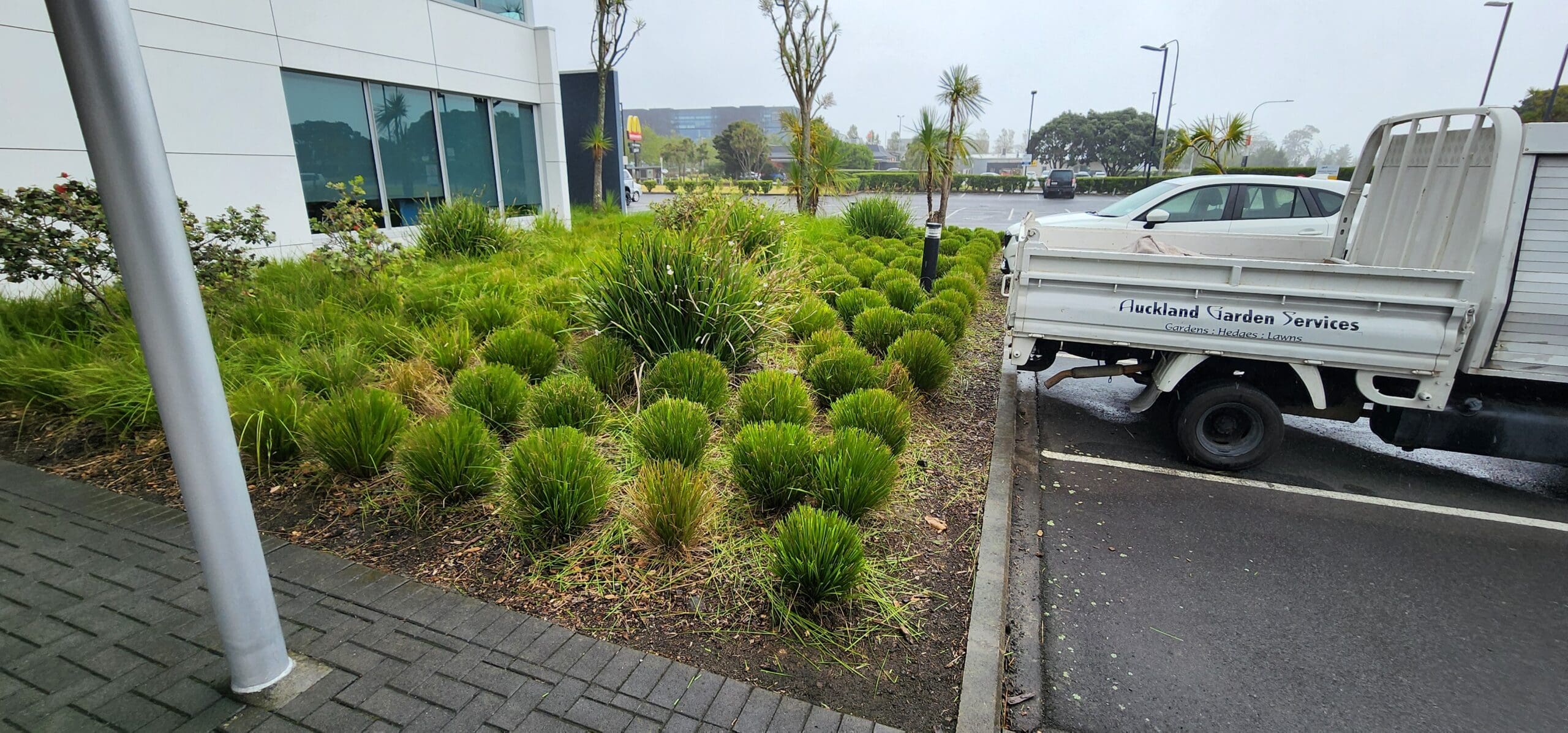 Weed Elimination & Control