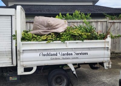 Clean-Up & Garden Waste Removal Auckland