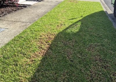 Mowing, Edging & Cutting