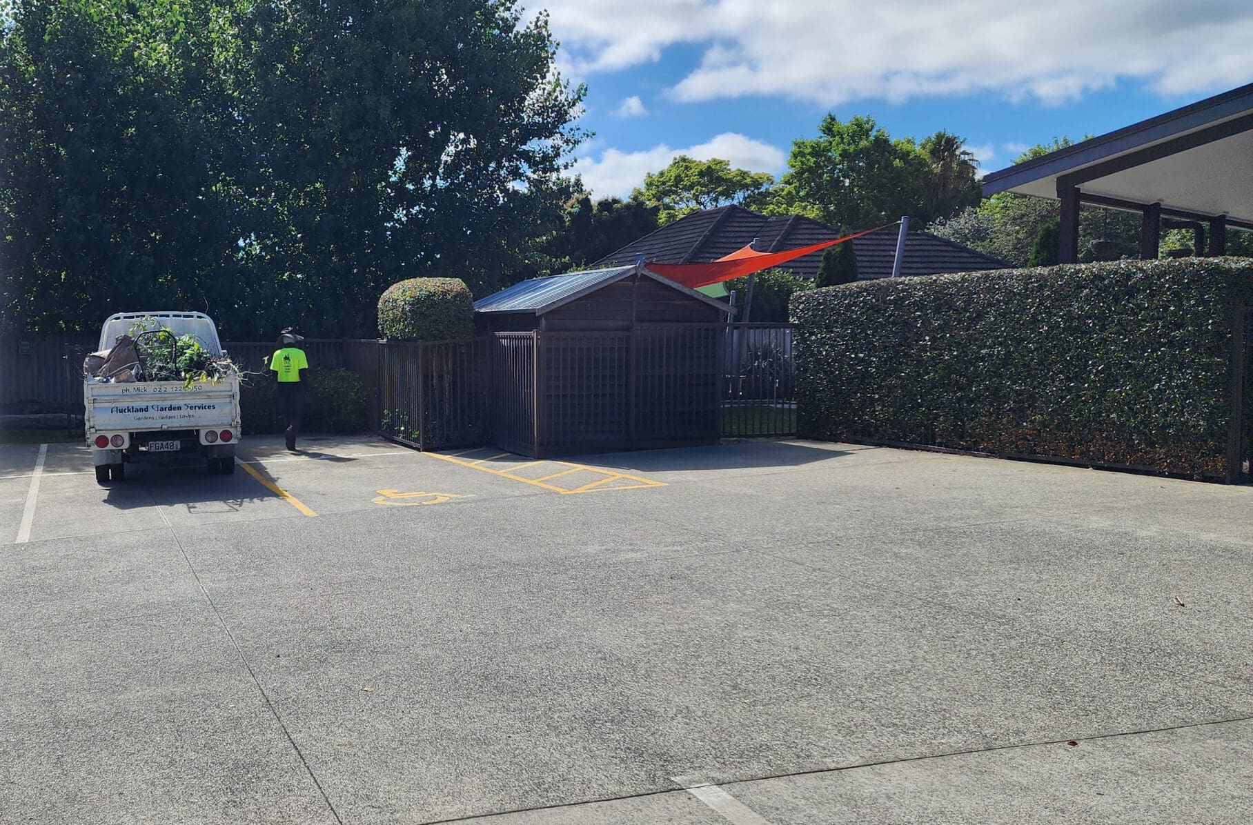 Keeping Hedges Healthy & Pruned in Auckland’s Unique Climate