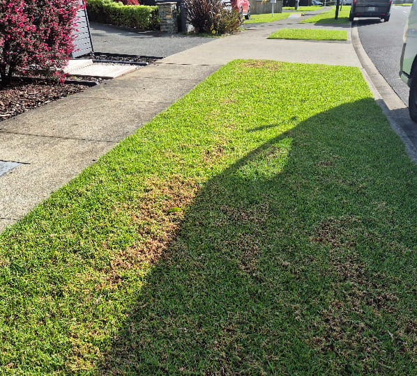 Mowing, Edging & Cutting